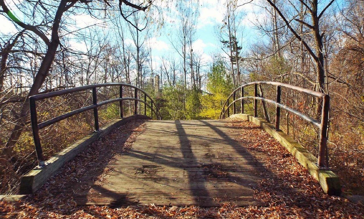 footbridge-autumn-fall-bridge-163827