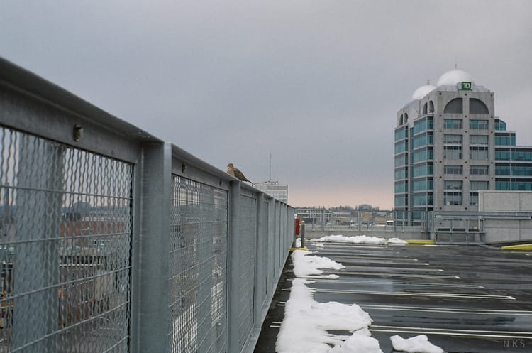 A potential game-changer for downtown Kitchener