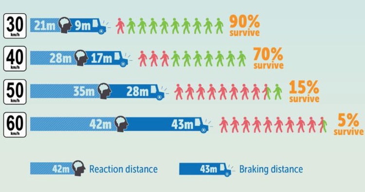 Pedestrian danger from 90% survival at 30 km/h to 5% at 60 km/h. Graphic from Region of Waterloo, adapted from WHO data