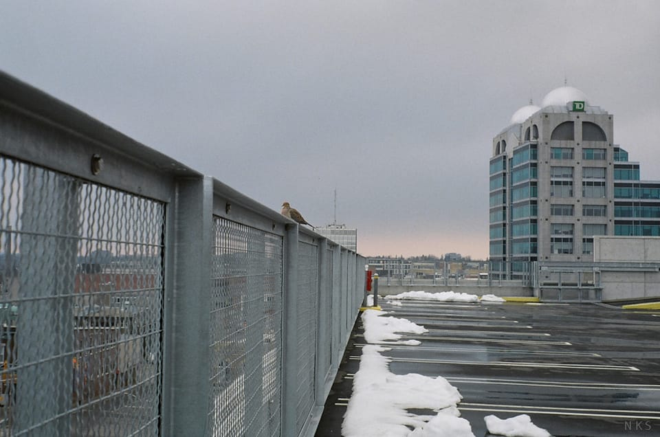 A potential game-changer for downtown Kitchener